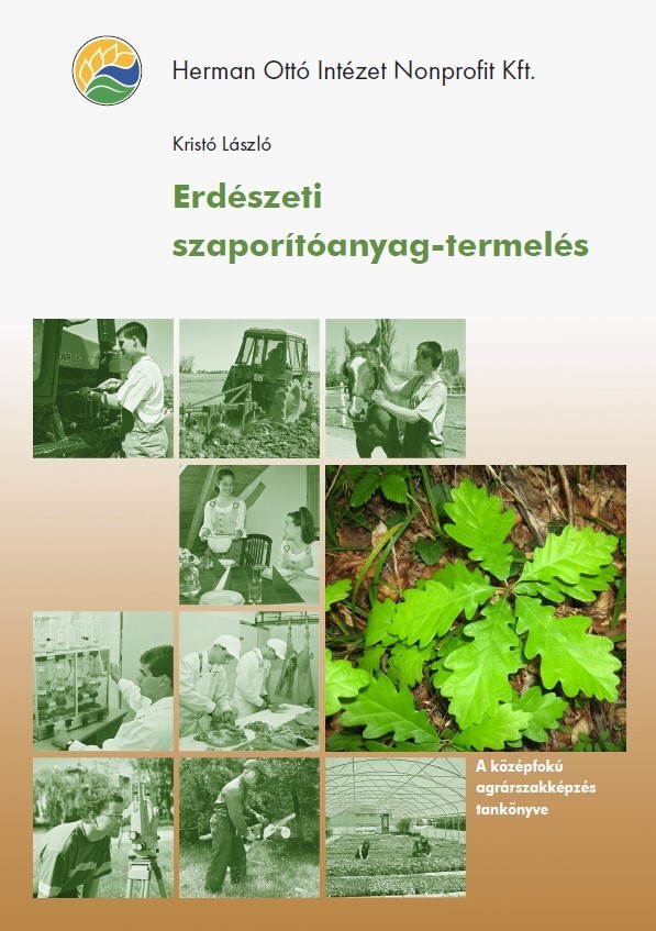 Erdészeti szaporítóanyag-termelés