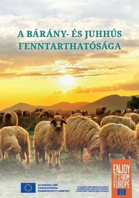 A bárány- és juhhús fenntarthatósága